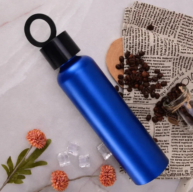 Vacuum Insulated Water Bottle with Holder