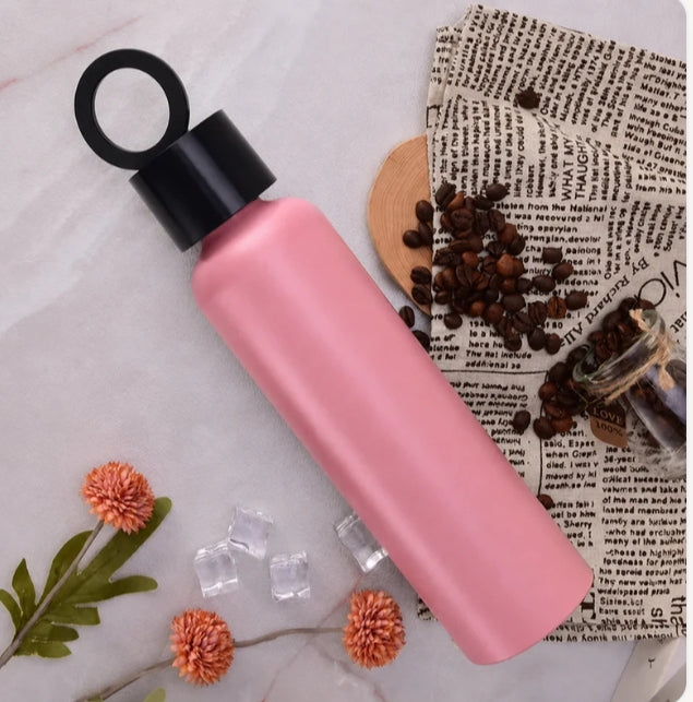 Vacuum Insulated Water Bottle with Holder