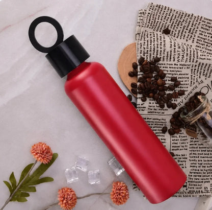 Vacuum Insulated Water Bottle with Holder